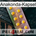 Anaconda Capsule new11